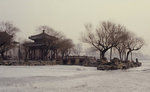 冬日圓明園