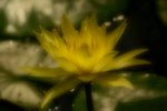 _DSC001711 copy