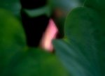_DSC0086 1copy