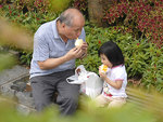 分甘同味