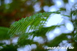 DSC_0188-1