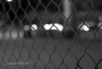 DSC_0216-1
