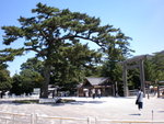 SANY0295