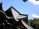 SANY0306