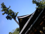 SANY0307
