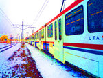P1000620(LOMO)