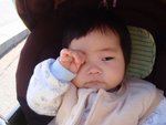 DSC01255