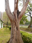 P1010214