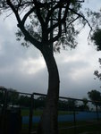 P1010251
