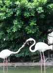 IMG_5183