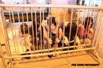 anight_0137
