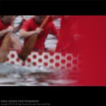 fe_029
