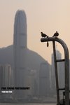 clock_009