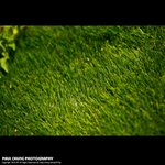 mf_008