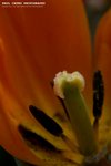f_042