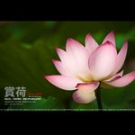 f_099