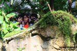 ahkp_038