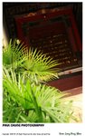 pingshan_008