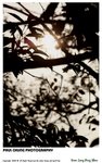 pingshan_017