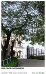 pingshan_027