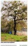 pingshan_029