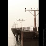 a_019