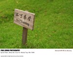 chilin_018