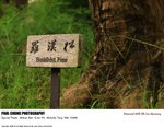 chilin_021