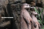 opark_045