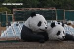opark_046