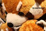 opark_050