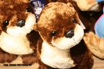 opark_051