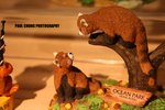 opark_052