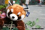 opark_054