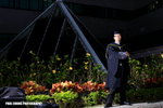 ajoe_047
