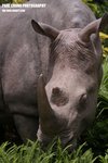 aart2_008