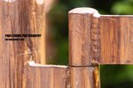 aart2_045