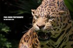 aart2_052