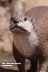 aart2_054