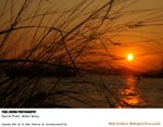 wkwp_009