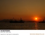 wkwp_010