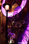 apatricia_020