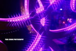 apatricia_029
