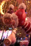 apatricia_037