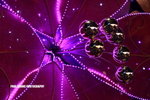 apatricia_044