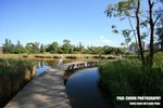 bwet_008
