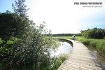 bwet_010