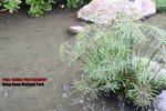 wet_009