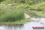 wet_011
