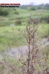 wet_012
